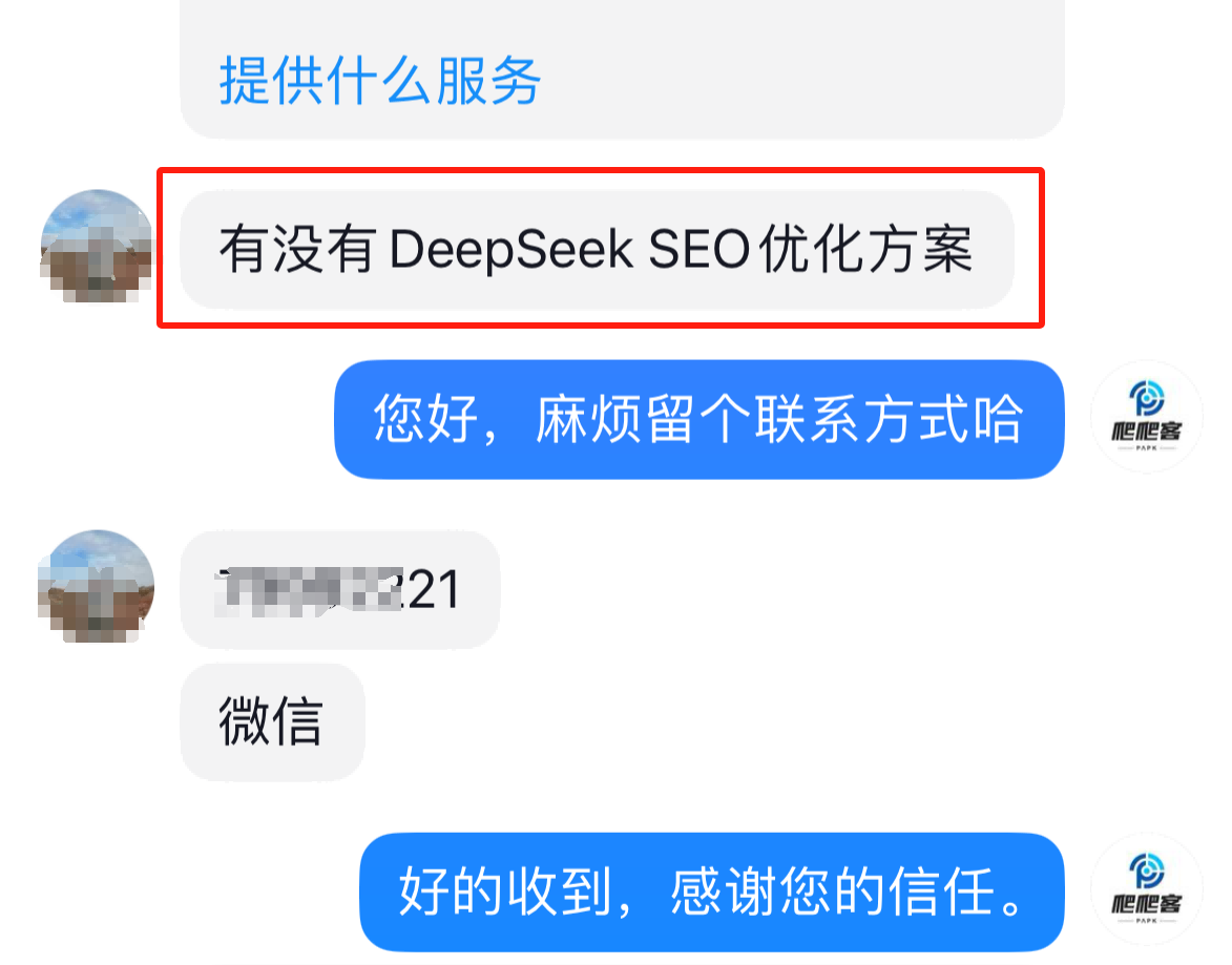 客户丁--咨询DS的SEO优化方案.png