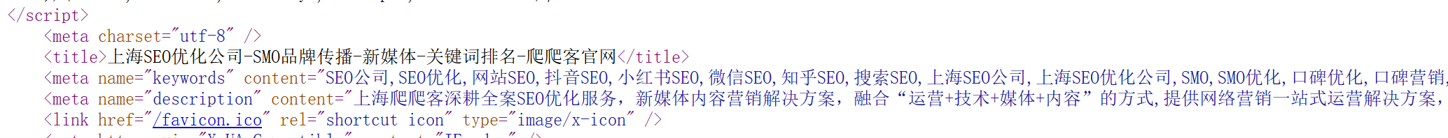 网页TDK.png